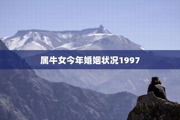 属牛女今年婚姻状况1997