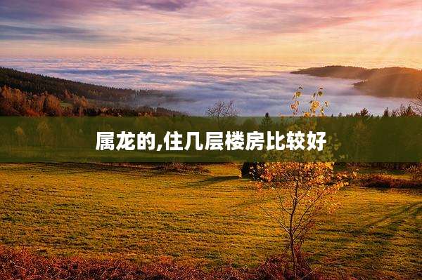属龙的,住几层楼房比较好