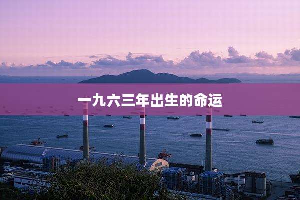 一九六三年出生的命运