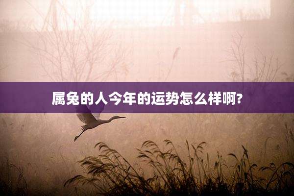 属兔的人今年的运势怎么样啊?