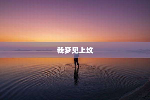 我梦见上坟