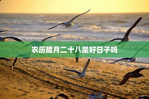 农历腊月二十八是好日子吗