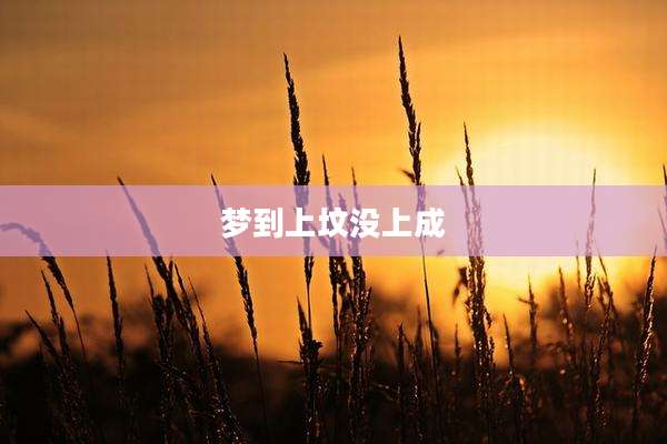梦到上坟没上成