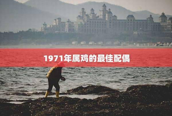 1971年属鸡的最佳配偶