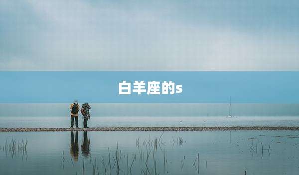 白羊座的s