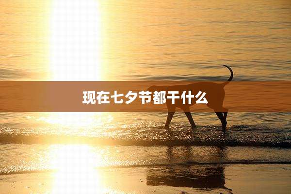 现在七夕节都干什么