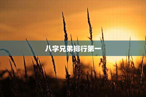 八字兄弟排行第一