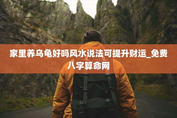 家里养乌龟好吗风水说法可提升财运_免费八字算命网