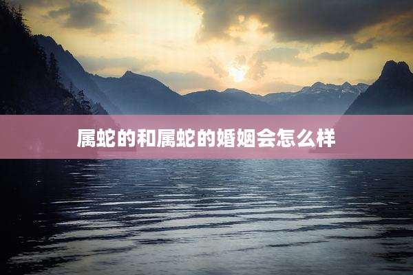 属蛇的和属蛇的婚姻会怎么样
