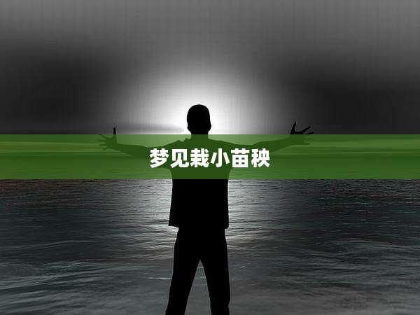 梦见栽小苗秧