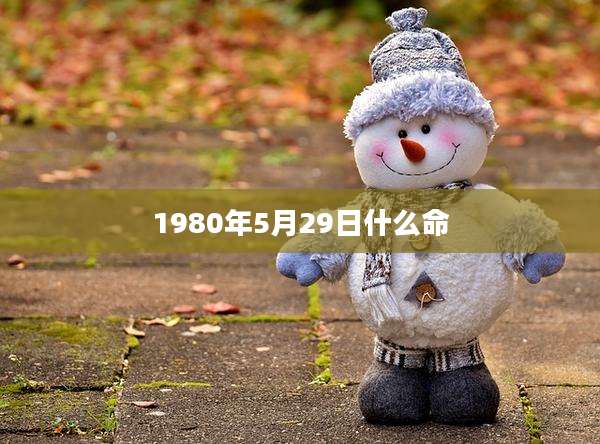 1980年5月29日什么命