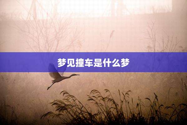 梦见撞车是什么梦