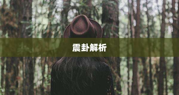震卦解析