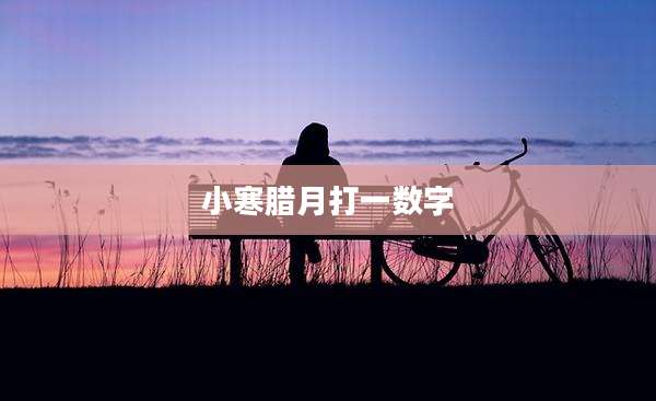 小寒腊月打一数字