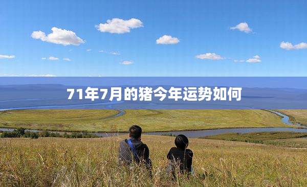 71年7月的猪今年运势如何