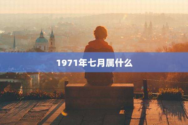 1971年七月属什么