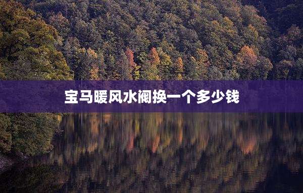 宝马暖风水阀换一个多少钱