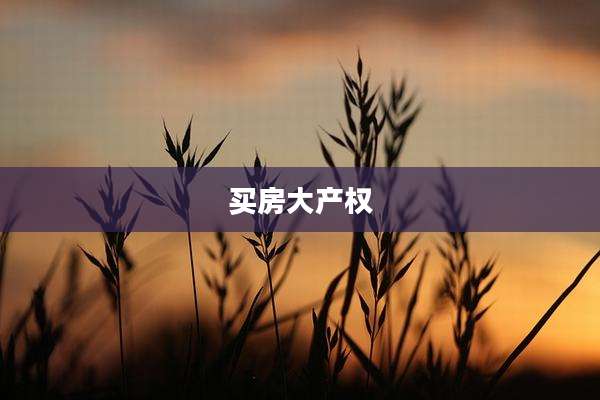 买房大产权