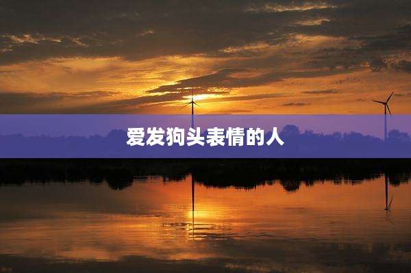 爱发狗头表情的人