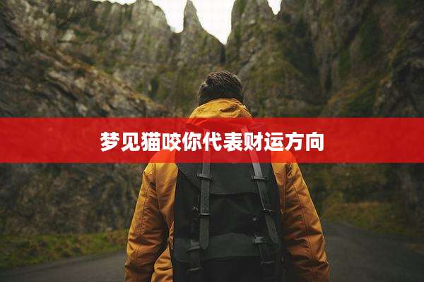 梦见猫咬你代表财运方向