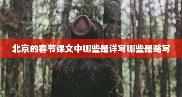 北京的春节课文中哪些是详写哪些是略写