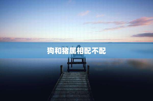 狗和猪属相配不配
