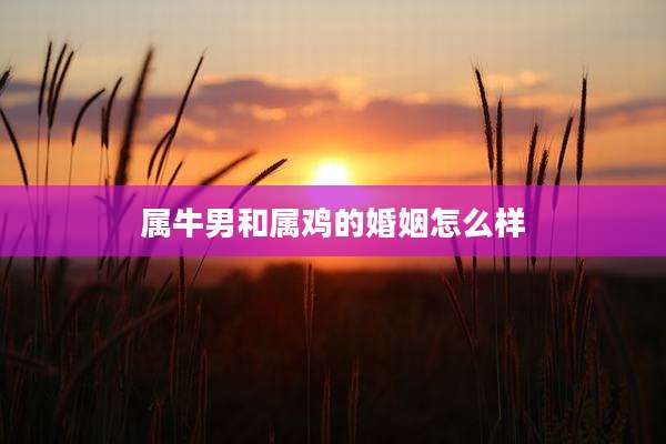 属牛男和属鸡的婚姻怎么样