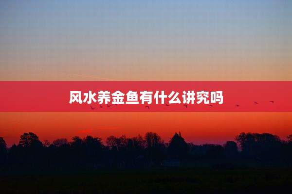 风水养金鱼有什么讲究吗