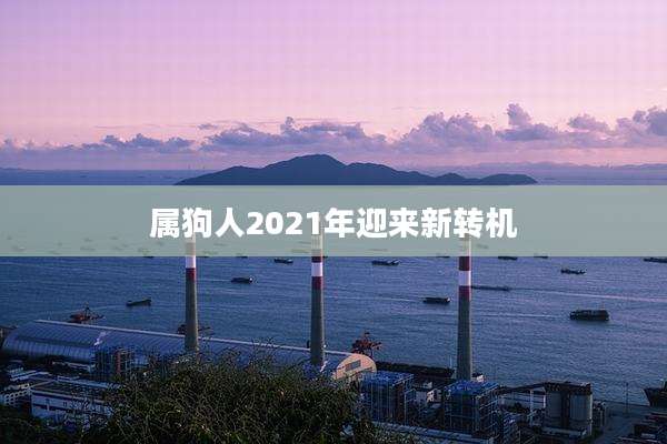 属狗人2021年迎来新转机
