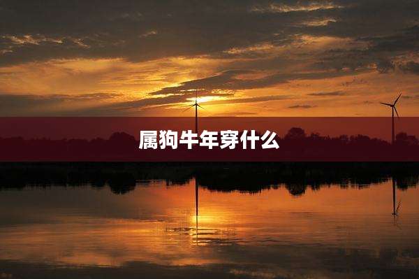 属狗牛年穿什么