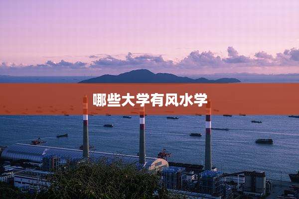 哪些大学有风水学