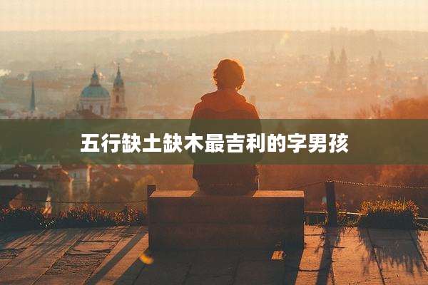 五行缺土缺木最吉利的字男孩