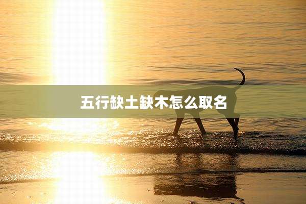 五行缺土缺木怎么取名