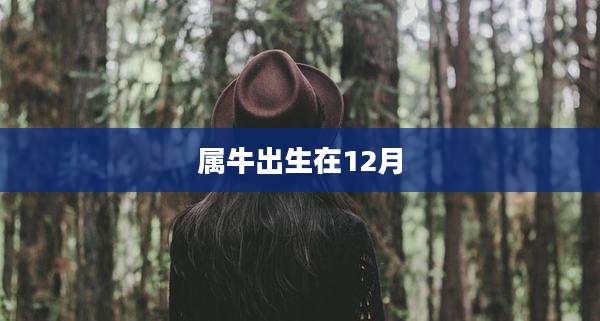 属牛出生在12月