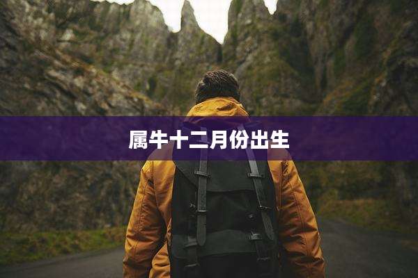 属牛十二月份出生