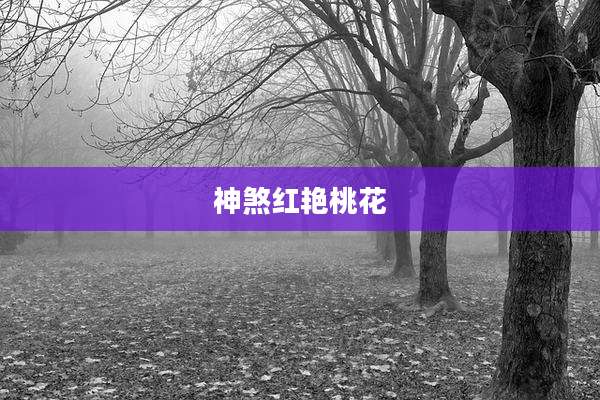 神煞红艳桃花