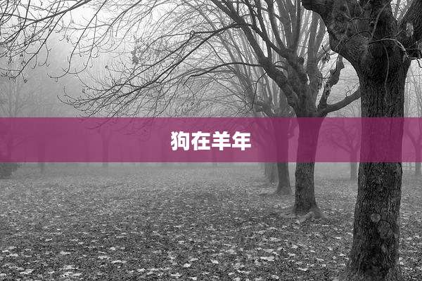 狗在羊年