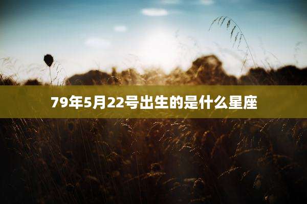 79年5月22号出生的是什么星座