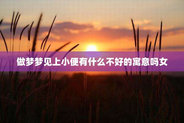 做梦梦见上小便有什么不好的寓意吗女