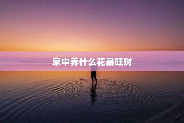 家中养什么花最旺财
