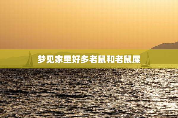 梦见家里好多老鼠和老鼠屎