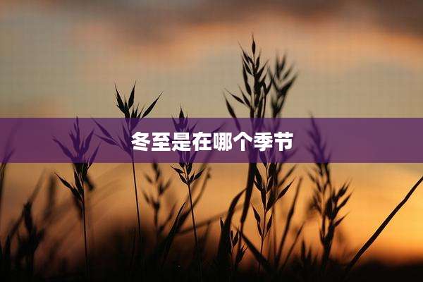 冬至是在哪个季节