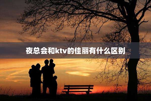 夜总会和ktv的佳丽有什么区别