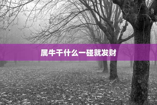 属牛干什么一碰就发财
