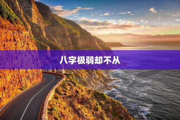八字极弱却不从