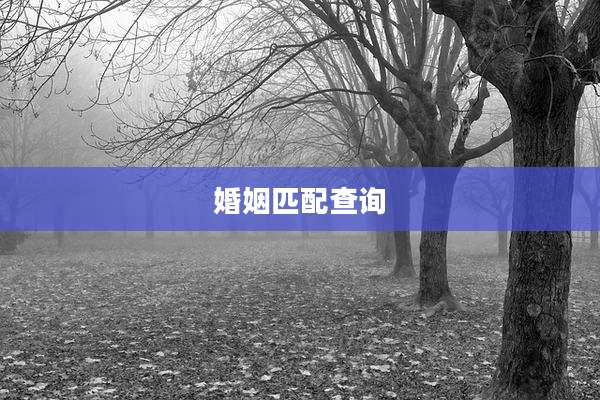 婚姻匹配查询
