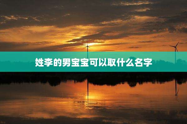 姓李的男宝宝可以取什么名字