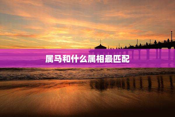 属马和什么属相最匹配