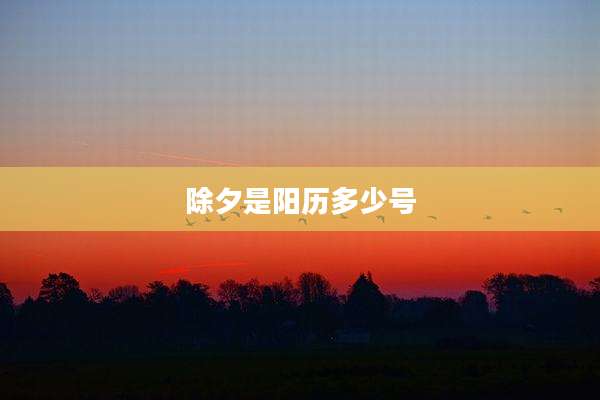 除夕是阳历多少号