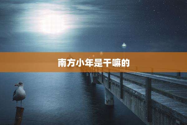南方小年是干嘛的